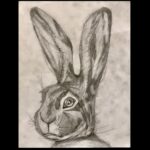 Rabbit Head